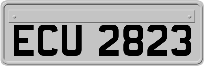 ECU2823
