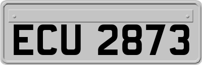 ECU2873