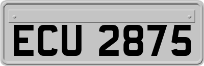 ECU2875