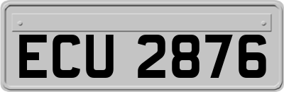 ECU2876