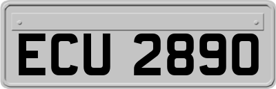 ECU2890