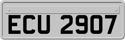 ECU2907