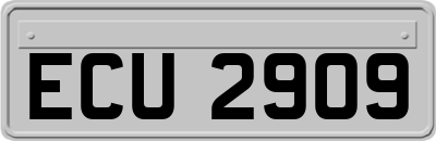 ECU2909