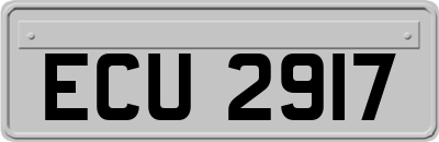 ECU2917
