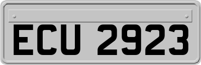ECU2923