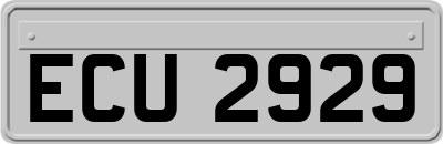 ECU2929