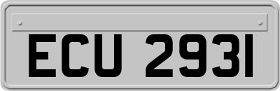 ECU2931