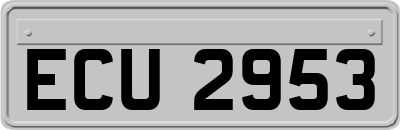 ECU2953