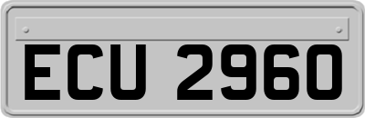 ECU2960