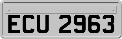 ECU2963