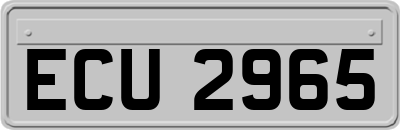 ECU2965