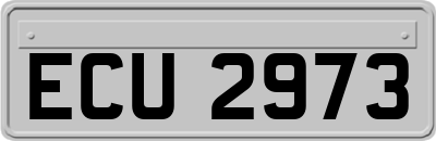 ECU2973