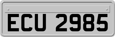 ECU2985