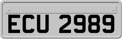 ECU2989