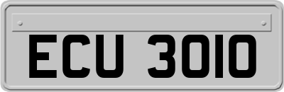 ECU3010