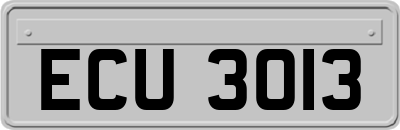 ECU3013