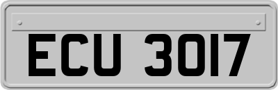 ECU3017