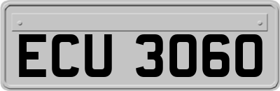 ECU3060