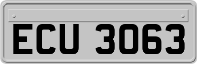 ECU3063