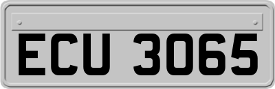 ECU3065