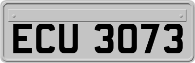 ECU3073