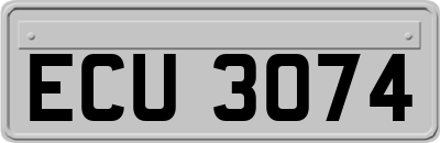 ECU3074