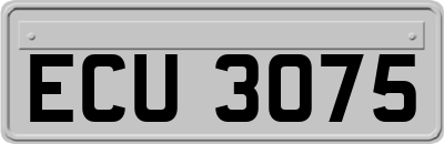 ECU3075