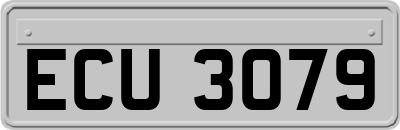 ECU3079