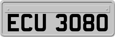 ECU3080