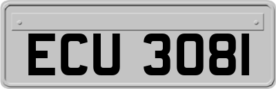ECU3081