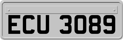 ECU3089