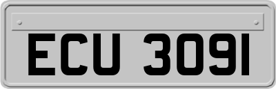 ECU3091