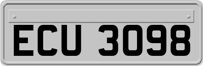 ECU3098