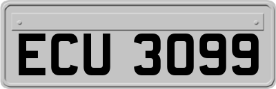 ECU3099