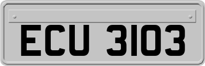 ECU3103