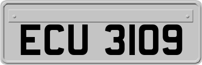ECU3109