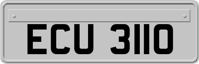 ECU3110