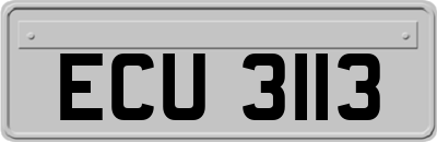 ECU3113