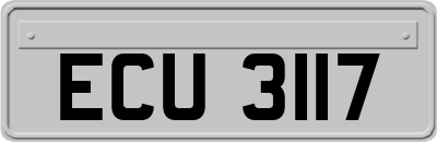 ECU3117