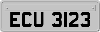 ECU3123