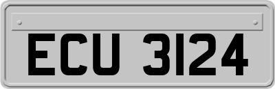 ECU3124