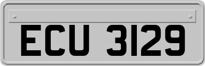 ECU3129