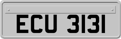 ECU3131