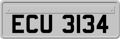 ECU3134