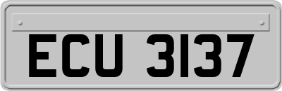 ECU3137