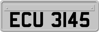 ECU3145