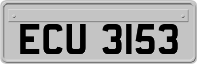 ECU3153