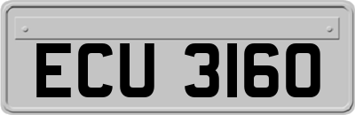 ECU3160