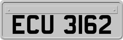 ECU3162