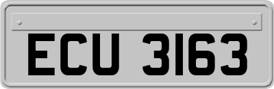 ECU3163